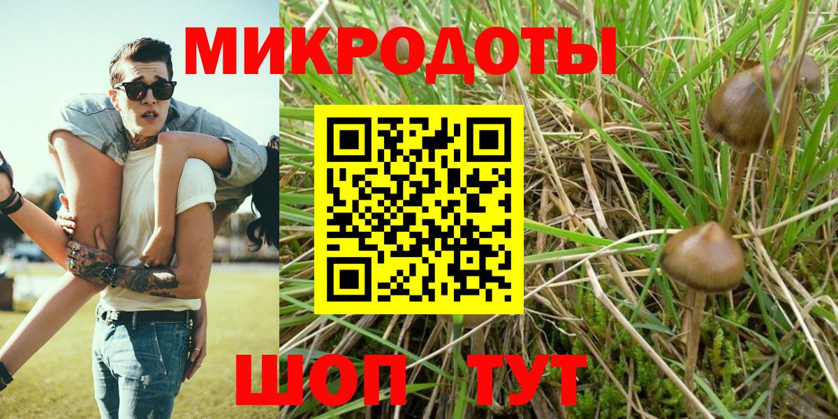 Псилоцибиновые грибы прущие грибы  Вход с VPN  Калуга 