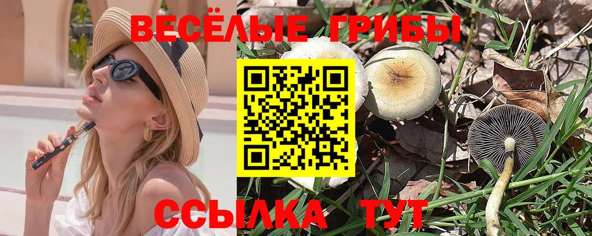Псилоцибиновые грибы MAGIC MUSHROOMS Калуга